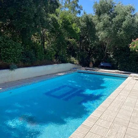 Lägenhet Le Soleil D'or Piscine Parking Terrasse
